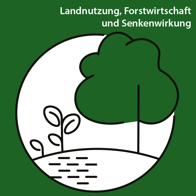 Stilisiertes Icon für das Handlungsfeld 7 Landnutzung, Forstwirtschaft und Senkenwirkung, drei Bäume in unterschiedlichen Wachstumphasen.
