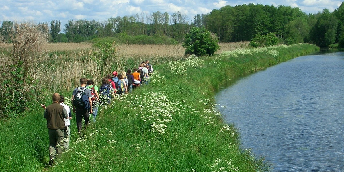 Bild: Eine Gruppe wandert hintereinander am Uferweg eines Gewässers entlang.