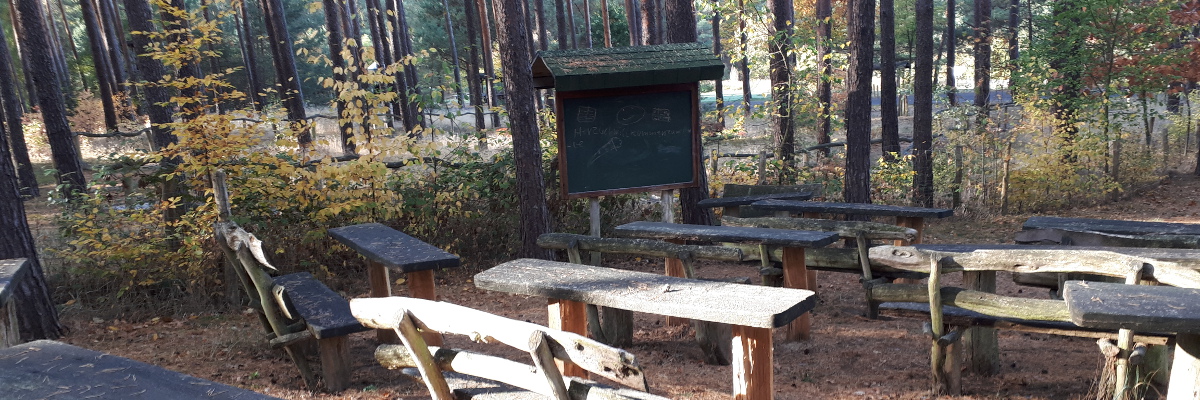 Grünes Klassenzimmer in der Waldbegegnungsstätte Krämer.