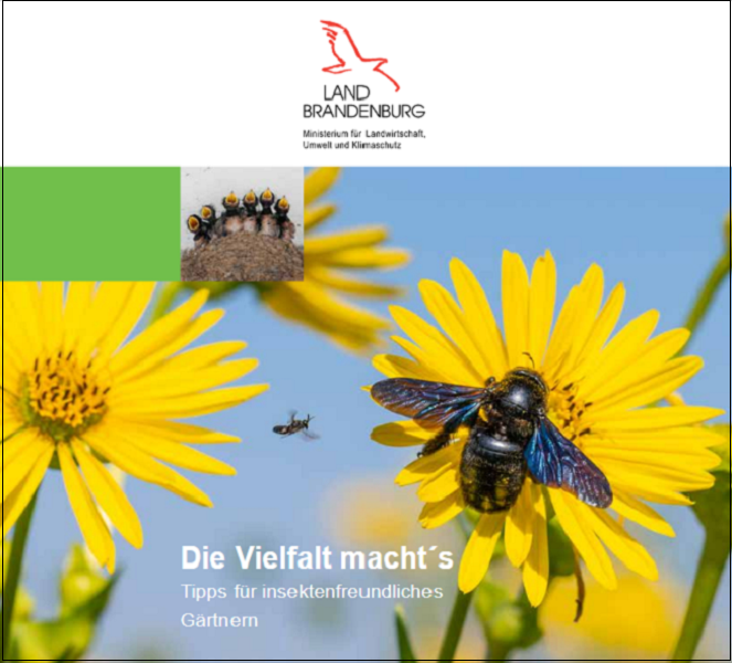 Bild vergrößern (Bild: Titelblatt der Broschüre Die Vielfalt macht´s Tipps für insektenfreundliches Gärtnern )